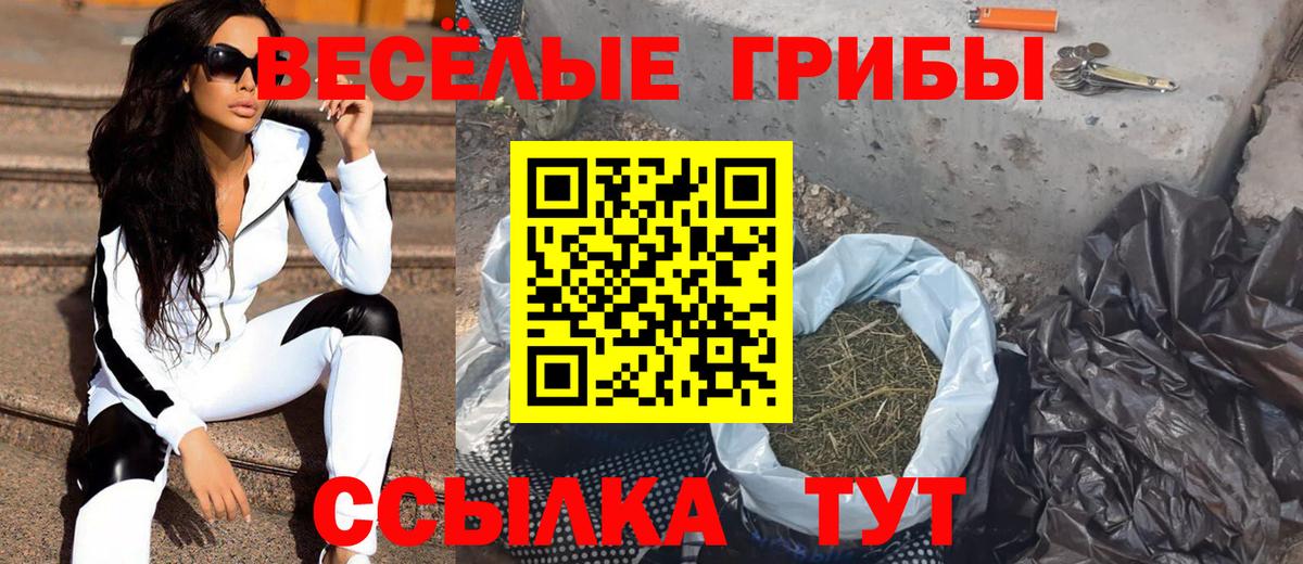 Галлюциногенные грибы GOLDEN TEACHER Якутск