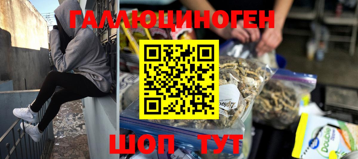 Псилоцибиновые грибы MAGIC MUSHROOMS  Галлюциногенные грибы MAGIC MUSHROOMS  Якутск  Вход с VPN 